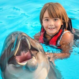 Swim with Dolphins 10 Min